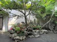 🌸 Lingering Garden 留园 — Grace, Balance & Jiangnan Beauty