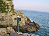 🌊🏝️ Geoje Island Summer Escape: Korea’s Hidden Coastal Gem