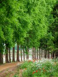 A Sweet Little Escape at Agape Garden