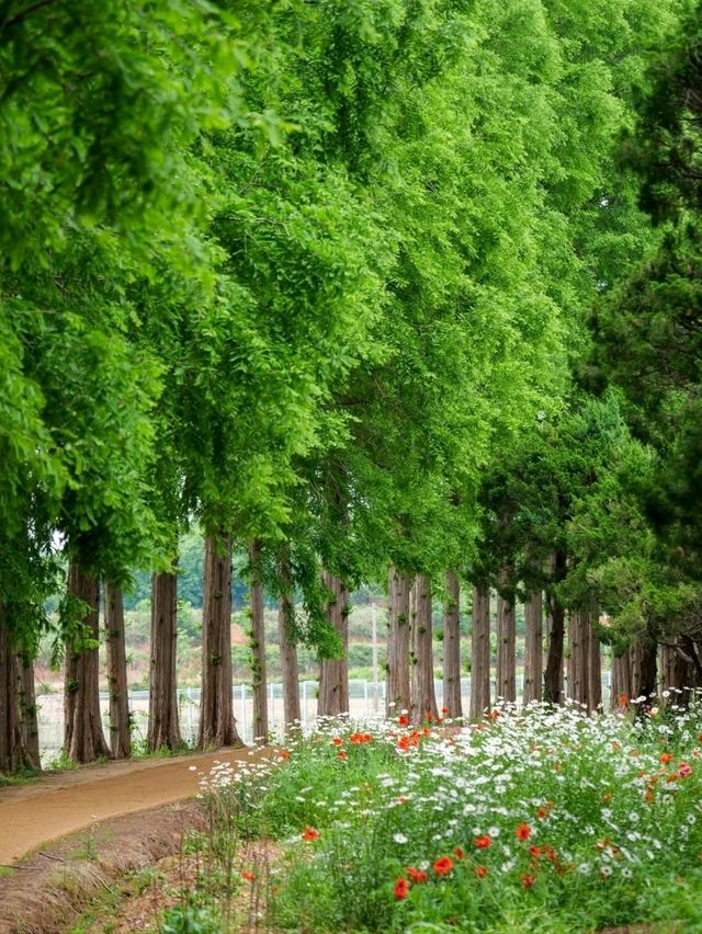 A Sweet Little Escape at Agape Garden