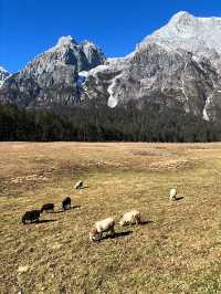 Yunnan, a truly unique and wonderful region!