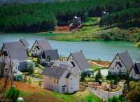 🌲 Dalat Wonder Resort 🌲