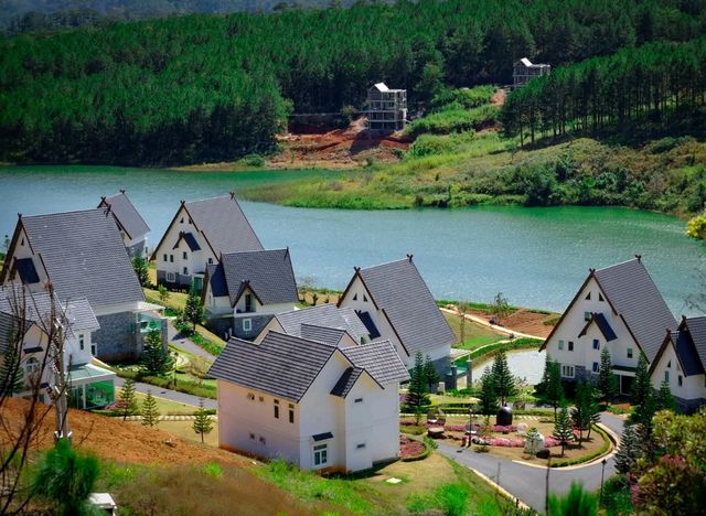 🌲 Dalat Wonder Resort 🌲