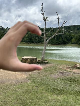 One-Day Trip to Khao Yai National Park 2025