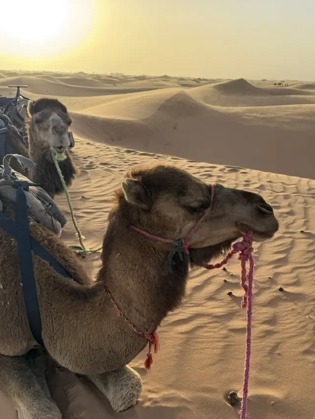 Sunset in the Sahara Desert, Merzouga, Morocco