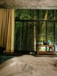 🍃 นอนริมลำธารกันมั้ย? ที่ Bee Forest แม่ออน 🌿