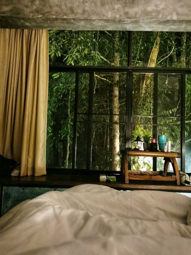 🍃 นอนริมลำธารกันมั้ย? ที่ Bee Forest แม่ออน 🌿