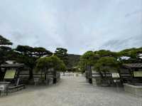 Peace & Pines at Ritsurin Garden