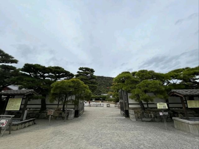 Peace & Pines at Ritsurin Garden