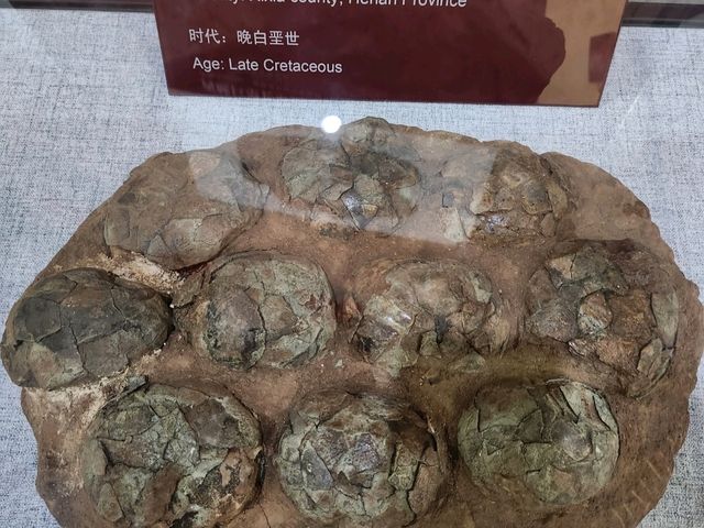2025／06／17河南西峽恐龍蛋博物館