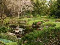 A peaceful pause in Brisbane Botanic Gardens