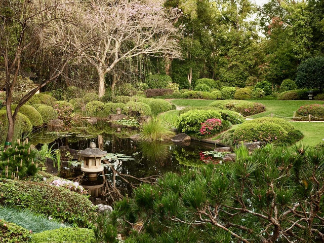 A peaceful pause in Brisbane Botanic Gardens