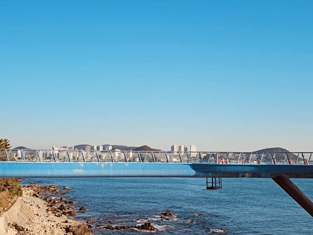 Cheongsapo Daritdol Observatory, Busan: A Thrilling Walk Over the Waves