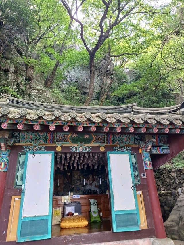 고요한 숲 속에서 마음을 돌아보는 시간