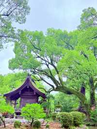 太宰府天滿宮& 九州國立博物館