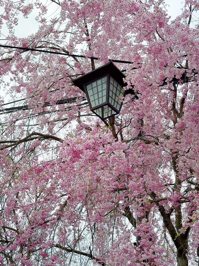 【日本三名湯泉】草津温泉