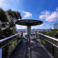 🌆 Xiamen’s Sky High Observatory: Where the City, Mountains & Sea Collide!"