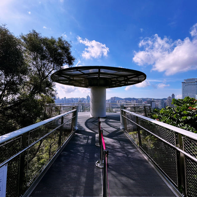 🌆 Xiamen’s Sky High Observatory: Where the City, Mountains & Sea Collide!"