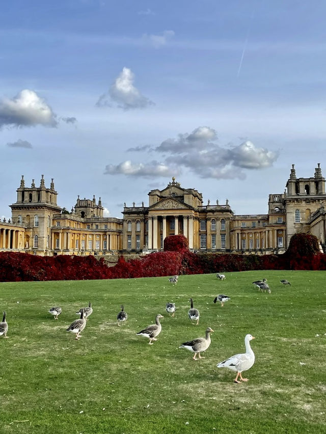 🏰 Blenheim Palace 一日遊攻略｜英國最華麗的非皇家「宮殿」體驗