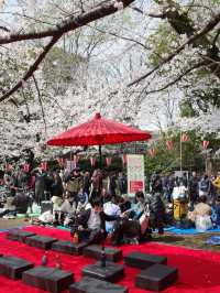 東京 上野恩賜公園 🌳🌸
