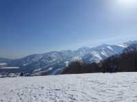 ❄️ Snowy Peaks & Scenic Treats: A Family Day Out at Hakuba Mountain Harbor
