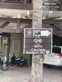 Bohol Bliss: Island Adventures Await