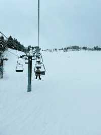 【富山】立山山麓スキー場
