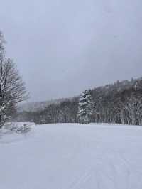 【北海道】キロロスノーワールド