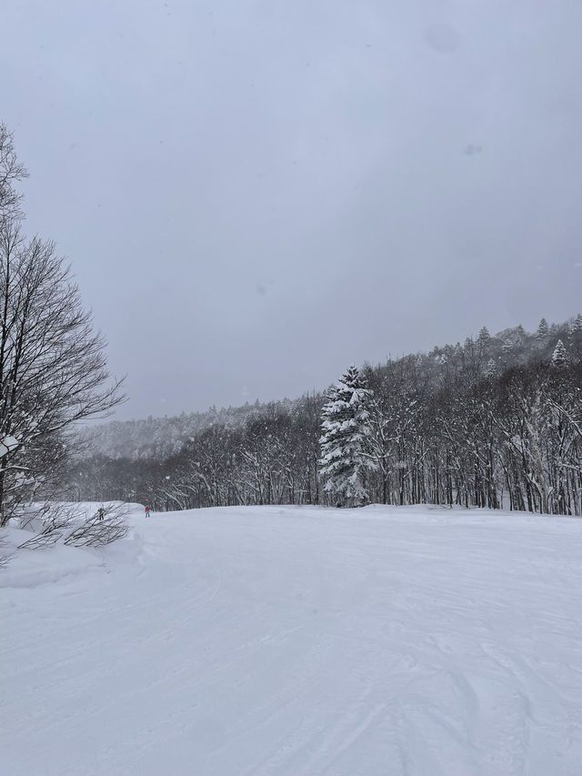 【北海道】キロロスノーワールド