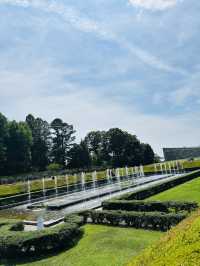 神代植物公園🇯🇵で花と植物に癒される💐⟡.·🪴
