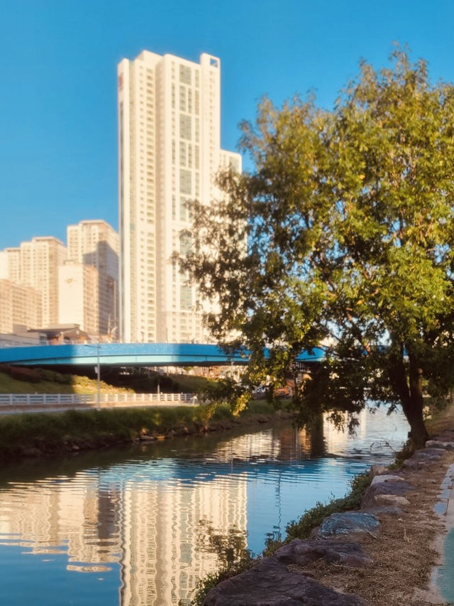 Onchonchon Citizen's Park, Busan: A Riverside Oasis for Leisure and Recreation