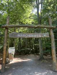 🌲Black Forest Tree Top Walk 🇩🇪
