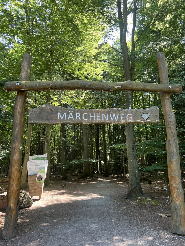 🌲Black Forest Tree Top Walk 🇩🇪