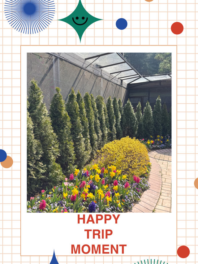 🌿숲이 말을 거는 곳, 화담숲 산책기