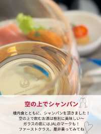 JAL国内線ファーストクラス✈️✨