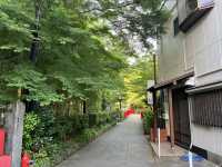 靜岡修繕寺景點 竹林小徑