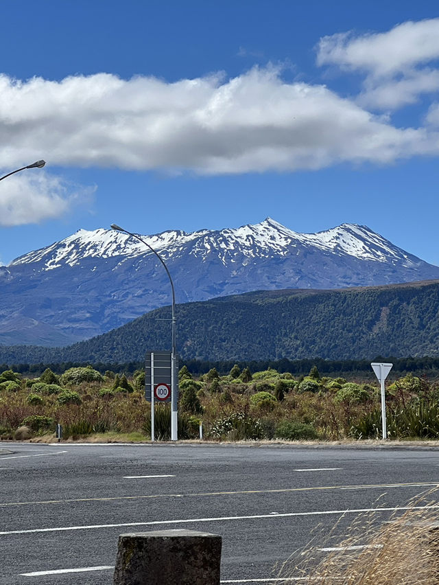 紐西蘭旅遊景點—🏔 Waimarino 小鎮｜離火山最近的靜謐基地
