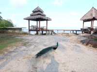 ที่พักบนเกาะส่วนตัวกลางทะเลอ่าวไทย