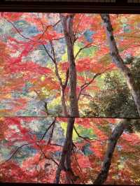 京都・嵐山の紅葉