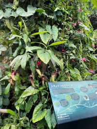 Jurassic World Adventure You Can’t Miss This Summer