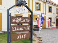 🐧 A Whimsical Day at Noboribetsu Marine Park Nixe