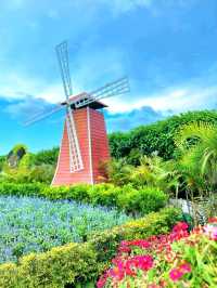 A Colorful Day at Zhongshe Flower Farm, Taichung