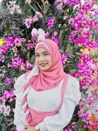 ไร่คุณอารียา (Ariya Flower Farm)