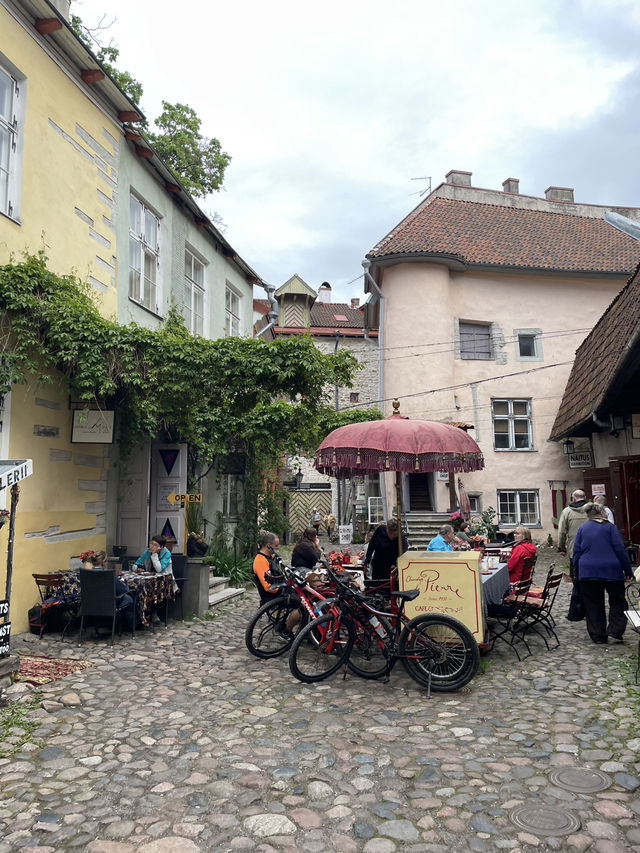 🛳️✨ 헬싱키에서 떠나는 동화 속 하루 여행 Tallinn 당일치기 투어 가이드 🇪🇪💙