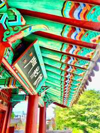 바다를 지키던 전라좌수영의 심장⛩ 여수 진남관, 그 역사와 건축의 미