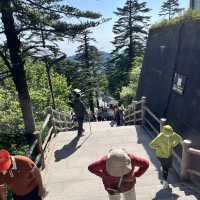 🏔️ Everything You Need to Know About Visiting Mount Emei 峨眉山 – Don’t Go Without Reading This First