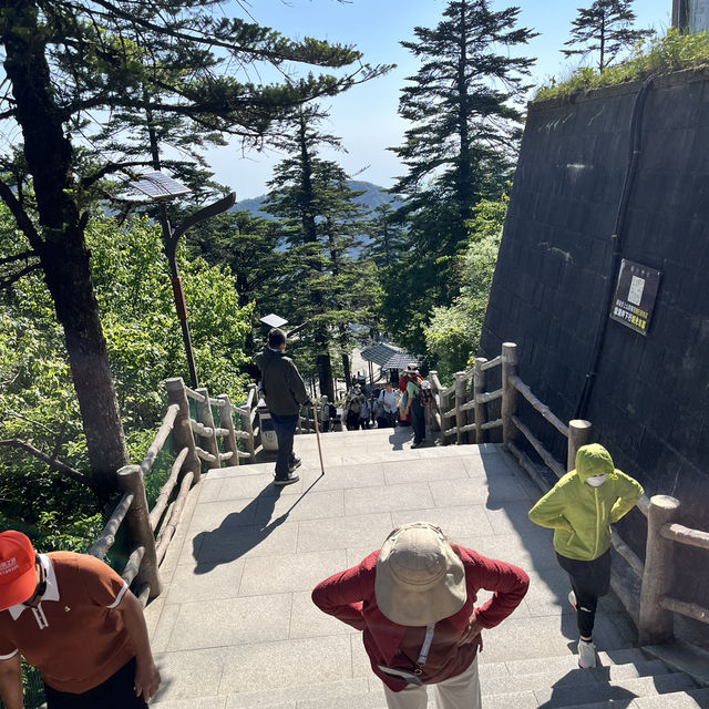 🏔️ Everything You Need to Know About Visiting Mount Emei 峨眉山 – Don’t Go Without Reading This First