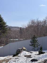 4월에도 눈이 내렸던 홋카이도 여행☃️