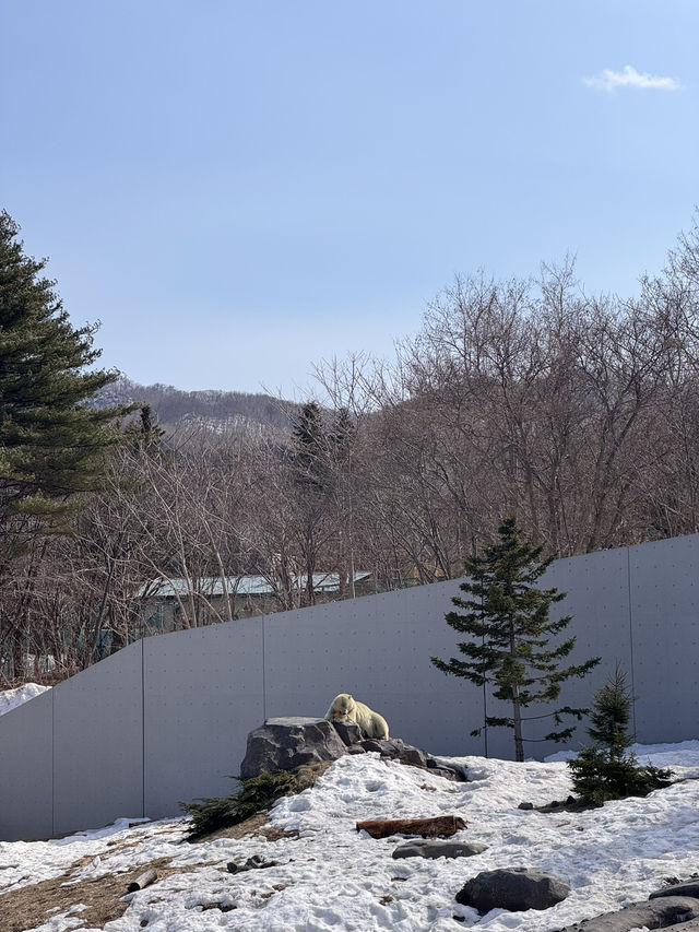 4월에도 눈이 내렸던 홋카이도 여행☃️