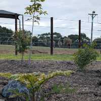 Werribee Open Range Zoo – Melbourne